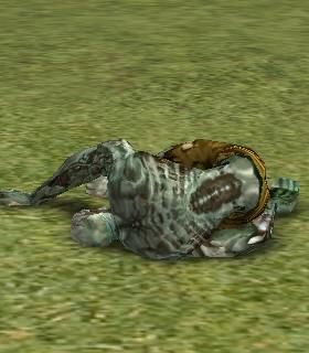Corpse of Deadman