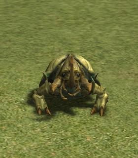 Beetle of Grave