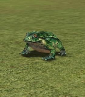 Caught Frog