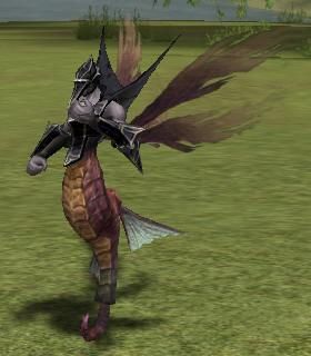 Caught Sea Horse Soldier
