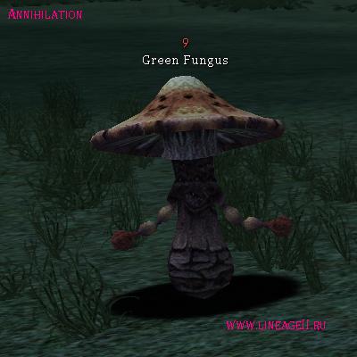 Green Fungus