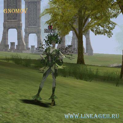 Dryad