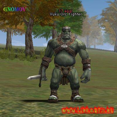 Vuku Orc Fighter