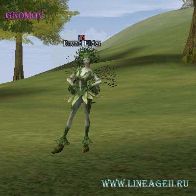 Dryad Elder