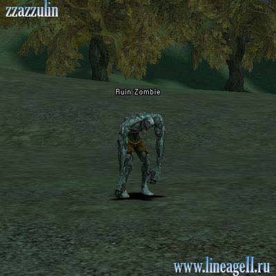 Ruin Zombie