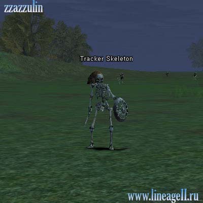 Tracker Skeleton
