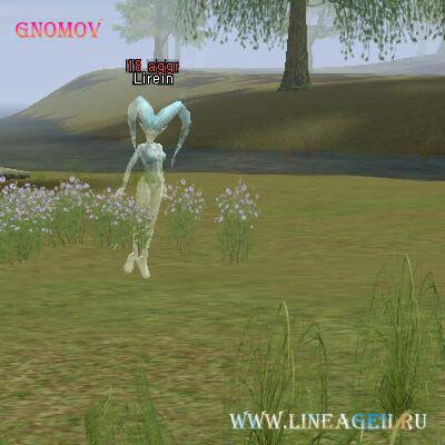 Lirein