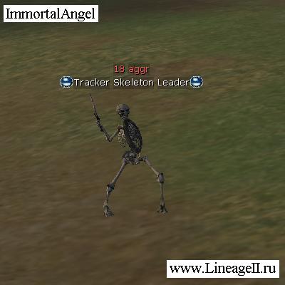 Tracker Skeleton Leader