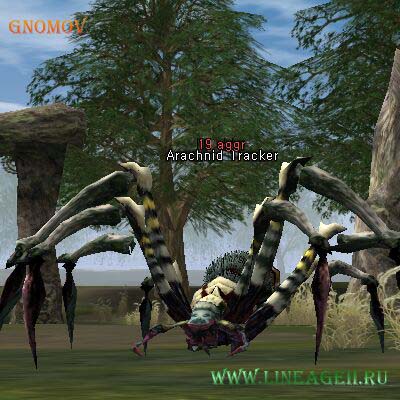 Arachnid Tracker
