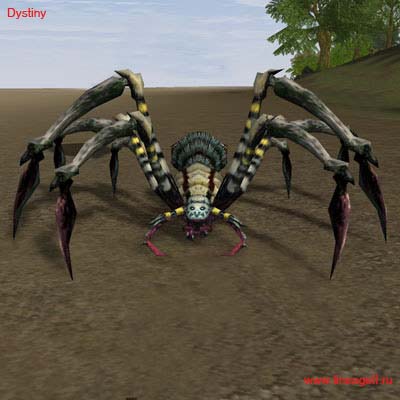 Arachnid Predator