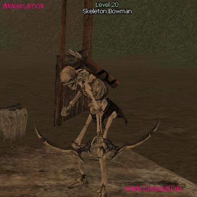 Skeleton Bowman