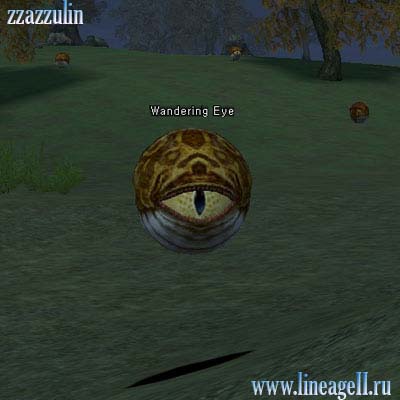 Wandering Eye
