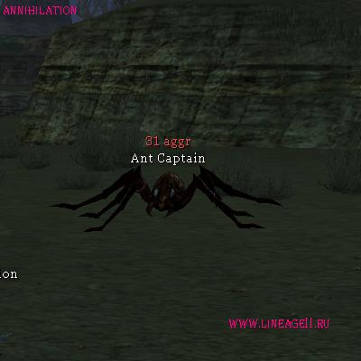Ant Captain