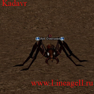 Ant Overseer