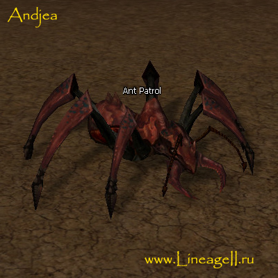 Ant Patrol