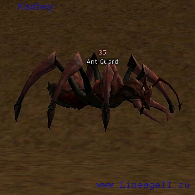 Ant Guard