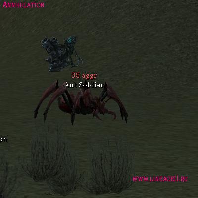 Ant Soldier