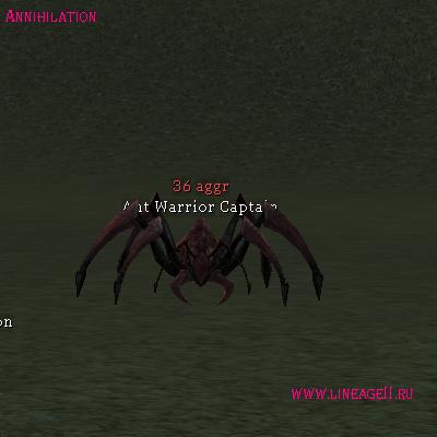 Ant Warrior Captain