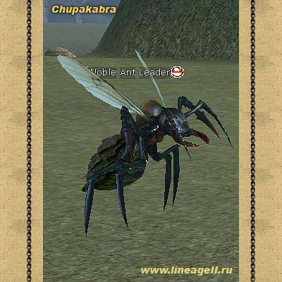 Noble Ant Leader