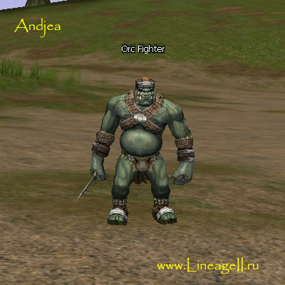Orc Fighter