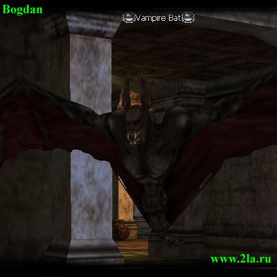 Vampire Bat