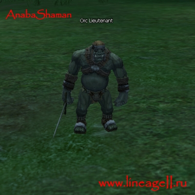 Орк Адъютант — Lineage 2 Essence