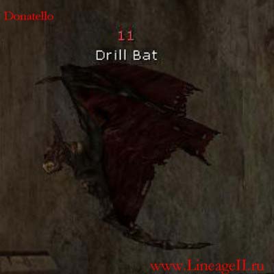 Drill Bat