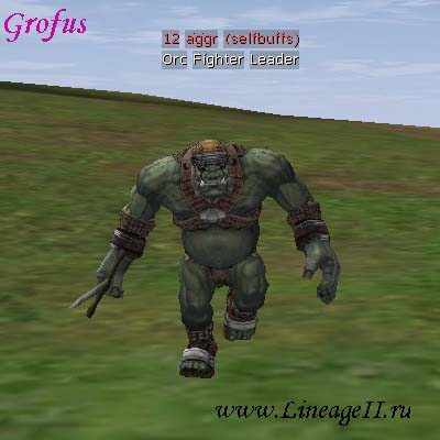 Orc Fighter Leader