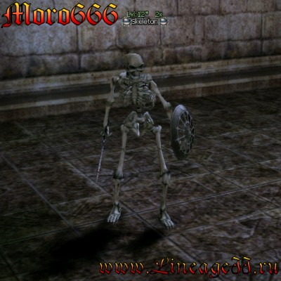 Skeleton