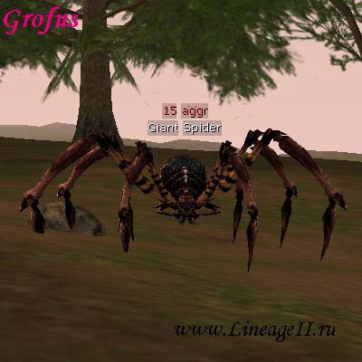Giant Spider