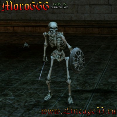 Skeleton Lord