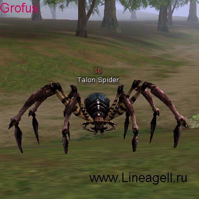 Talon Spider