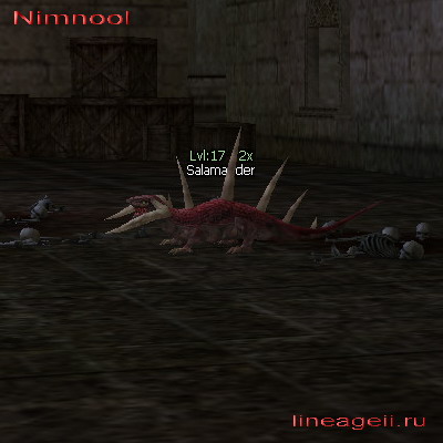 Salamander
