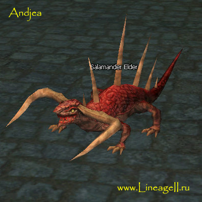 Salamander Elder