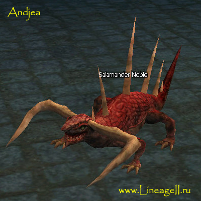 Salamander Noble
