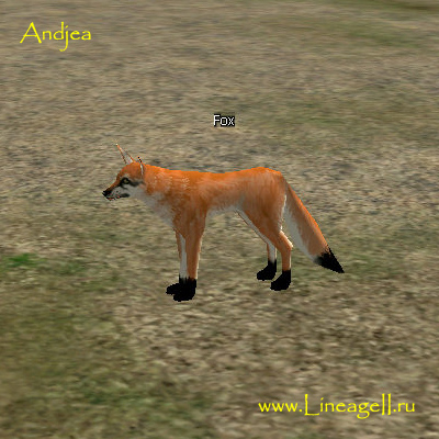 Fox
