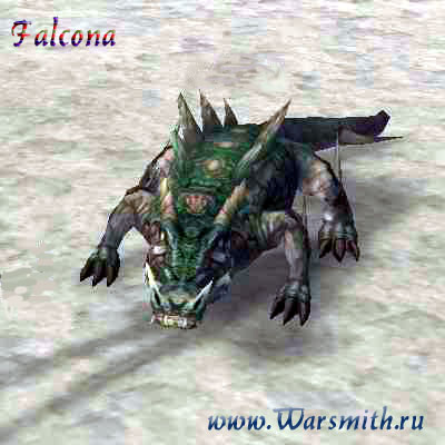 Alligator