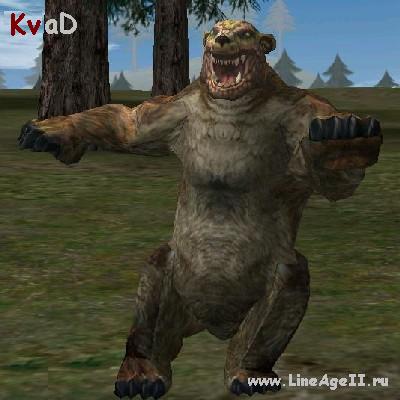Grizzly