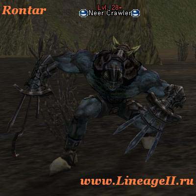 Neer Crawler