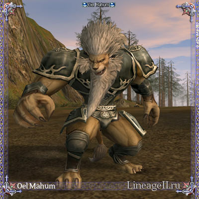 Oel Mahum
