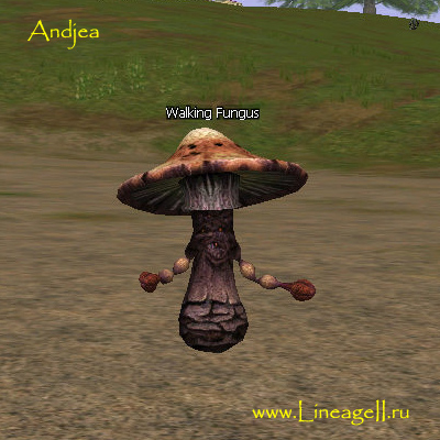 Walking Fungus