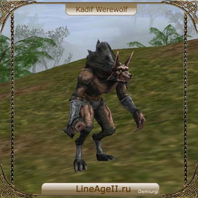 Kadif Werewolf