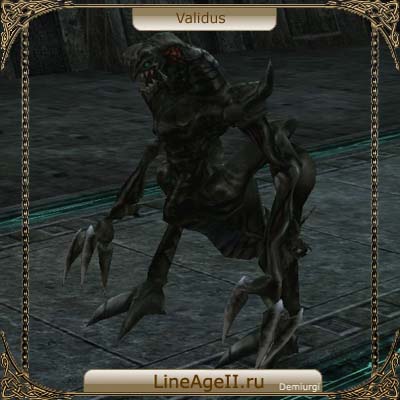 Validus