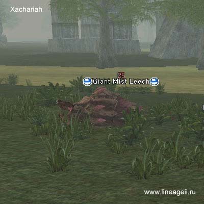 Giant Mist Leech