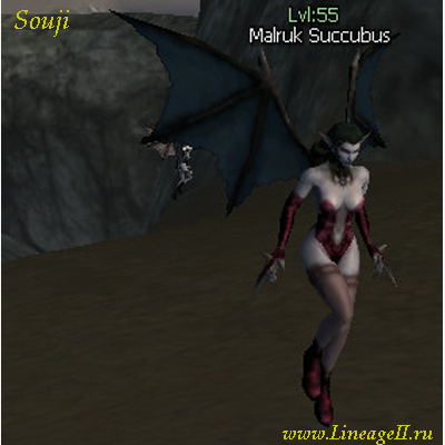 Malruk Succubus
