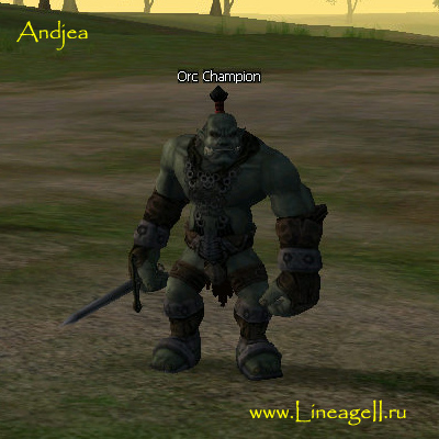 Orc Champion