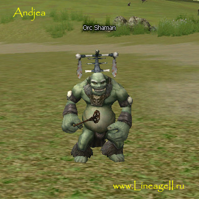 Orc Shaman
