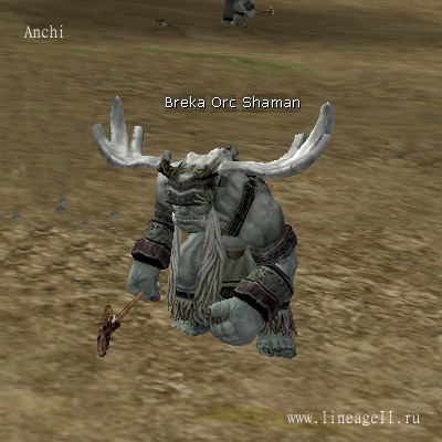 Breka Orc Shaman