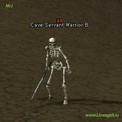 Cave Servant Warrior