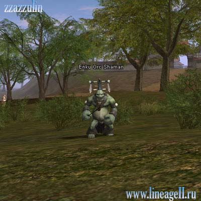 Enku Orc Shaman